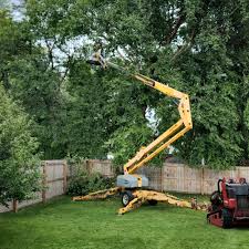 Best Aeration Services  in Penn State Erie, PA